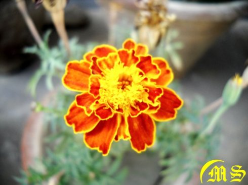 26028_1376332537563_1509336713_30922557_4006918_n