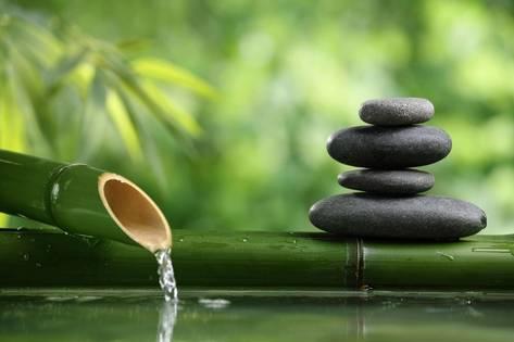 Realizing zen and your&nbsp;career