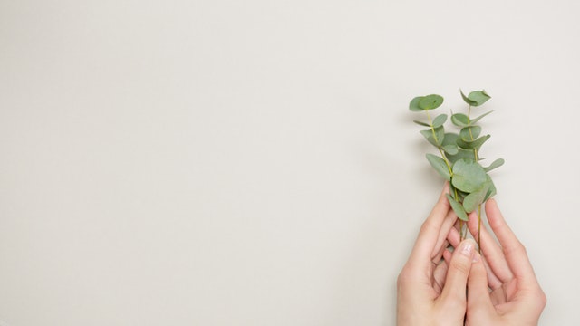 The Seven Day Life-Changing Happiness&nbsp;Challenge!